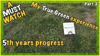 TruGreen lawn care after 5 years pt2