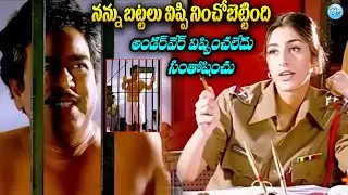 అరేయ్ నన్ను బట్టలు విప్పి నించోబెట్టింది Nagarjuna ,Giribabu Tabu Ultimate Police Station Scene