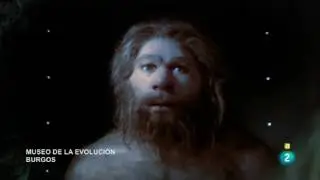 El documental   El cerebro de Ca&iacute;n mp4