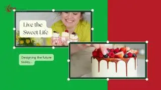 WEB PLAYER | Web Development Company | Web Design & SEO Services