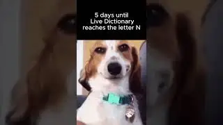 5 days till the N word  #memes #dictionary