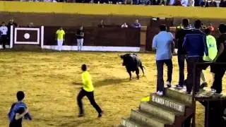 cogida fuentesauco