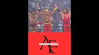 Attitude Fan - NWO Forms - Bash at the Beach 1996