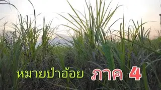 ลองอีกซักครั้งกับหมายนี้ เพราะมีเหยื่อ ปลา เหยื่อปู เหยื่อมันสับ