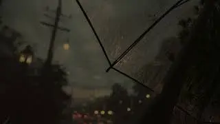 Rainstorm on a Tree-Lined Road Under a Small Umbrella | Grey Skies, Soft Thunder & Calm
