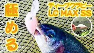 【春・FCA瑞浪】修行の日々 さらに上達目指してLC MAX SSを極めるゾ【まぃきぃ】