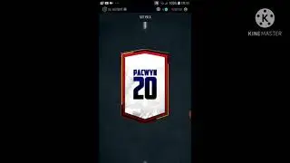 pacwyn 20 pack opening