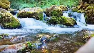 RELAX and Listen ~ SOFT WATERFALL SOUND TO HELP YOU SLEEP in a PERFECT ambiance