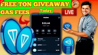 🎁MEGA TON 🎁🎁 GIVEAWAY GAS FEES 2-October Live Hamster Kombat Daily TON😱💸