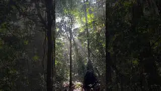 Naturaleza pura. #shorts #short #video #peru #nature #wildlife #morning #fyp #beauty #wild #travel