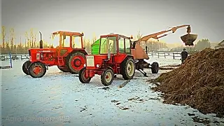 Wywóz obornika 2017 Mtz 82 t 25 cyklop
