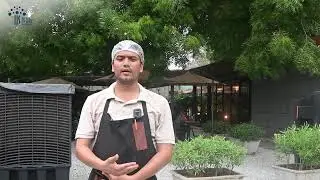 From Trainee to Professional Chef | Mohammad Harun&rsquo;s Success Story | Tata IIS