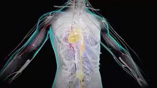 ibuprofelin - Multifocal Atrial Tachycardia