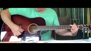 Tanglewood TW5 E AWB Winterleaf Dreadnought