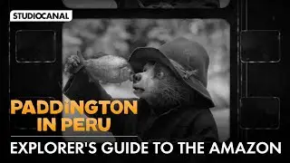 PADDINGTON IN PERU - An Explorer's Guide to the Amazon Jungle