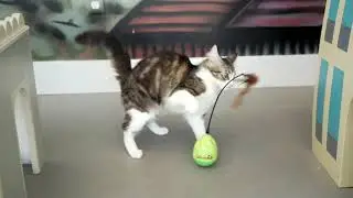 Petlinks&reg; Wild Thing&trade; electronic cat toy