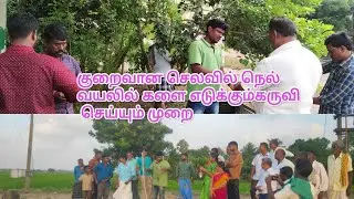 குறைவான செலவில் நெல் வயலில் களை எடுக்கும் கருவி செய்யும் முறை|paddy weeder demonstration for farmers