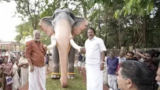 Sree Pisharikavu Temple അകാലത്തിൽ ചരിഞ്ഞ കളഭ കേസരി ഗുരുവായൂർ കേശവൻ കുട്ടിയുടെ സ്മരണാർത്ഥം