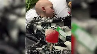 VIDEO: When the body rejects stem cell transplantation
