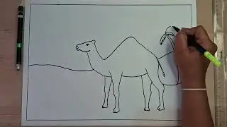 Drawing Step By Step | How to Draw CAMEL |  Drawing For Beginners |#drawingtutorialsimple#ArtForKids