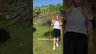 ИВА ХАКУРО НИШИКИ 🌸СТРИЖКА В АВГУСТЕ #garden