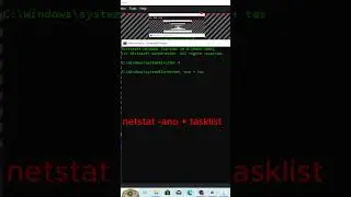 How to Find Hidden Spyware & Foreign Connections Using Command Prompt