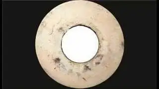 The Tree Stumps - Tomorrow's Sun
