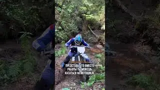 ТГ: GMMX TEAM