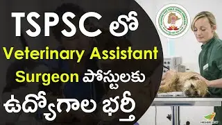 TSPSC Veterinary Assistant Surgeon Recruitment 2023 Notification in Telugu | Vacancies, Salary