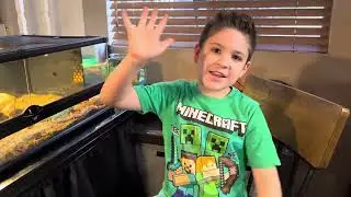 Ezra The Animal Keeper - Episode 3: New Ants!