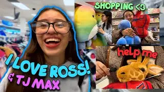 Exploring Ross and Tj Max! (window shopping...gotta save money)