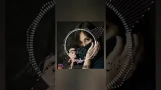 قاسم گزیچی (کی به ای دنیا اتونت‌ دلا بندی دنیا گذرن بسن دلرنجی)