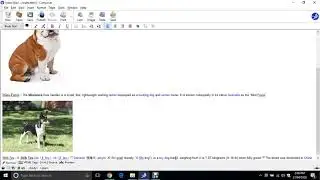 Topic 3 - Checking Your Page