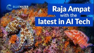 Raja Ampat with the Latest in AI Tech