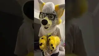 THE REAL REASON😱 #shorts #viral #furries #fursona #coyote #boost #fyp