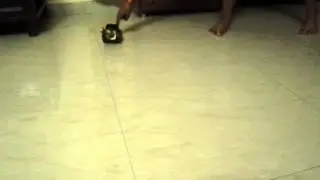partially autonomous no programming robot