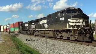 NS Train 295 A Better Look 11 06 2014