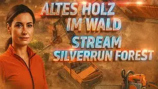 Altes Holz im Wald - Stream 09 - Silverrun Forest #LS25