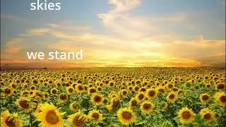 Sunflower Skies. A Ukrainian song in English.