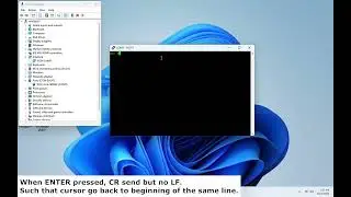 PuTTY send CR with LF, fixed.