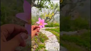 Travel Reel 98/180 Days Challenge #2025 #travel #love #july #rain