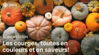 On d&eacute;couvre les courges... m&ecirc;me les plus m&eacute;connues! | L'&eacute;picerie