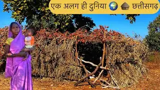 छत्तीसगढ़ के जंगलों में बसे खूबसूरत गाँव का जीवन🛖।Unexplored Tribes and Village,Chhattisgarh India 