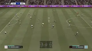 Zynl edit incoming