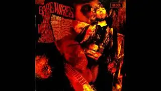 John Mayall & The Bluesbreakers - I'm A Stranger