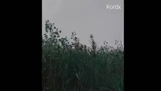 NOSTALGIA Type Beat - SUICIDA - KordX Beats INSTRUMENTAL USO LIBRE