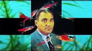 Памяти Dr. Herbert R  Axelrod