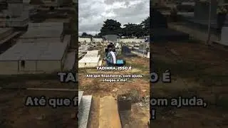 DE CHORAR! Cadelinha vive 10 meses em cemit&eacute;rio ao lado do t&uacute;mulo do dono