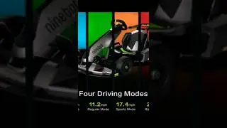 Segway Ninebot Electric GoKart Pro