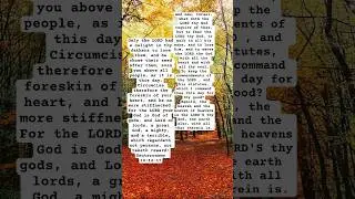 Today&rsquo;s Torah Deuteronomy 10:12-11:9 And now, Israel, what doth the LORD thy God require of thee